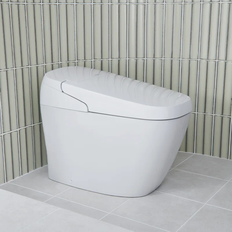 Bồn cầu thông minh AC-G216VN/BW1