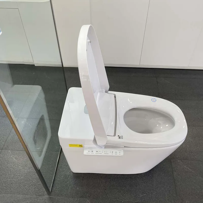 Bồn cầu điện tử AC-816VN (SARAS Light E)