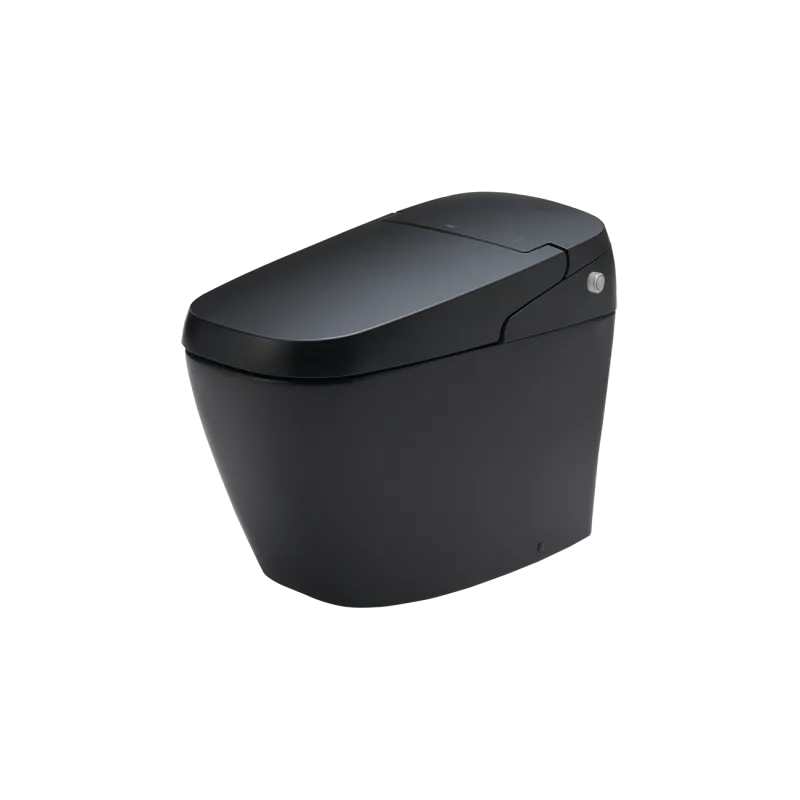 Bồn cầu thông minh AC-G216VN/BKG