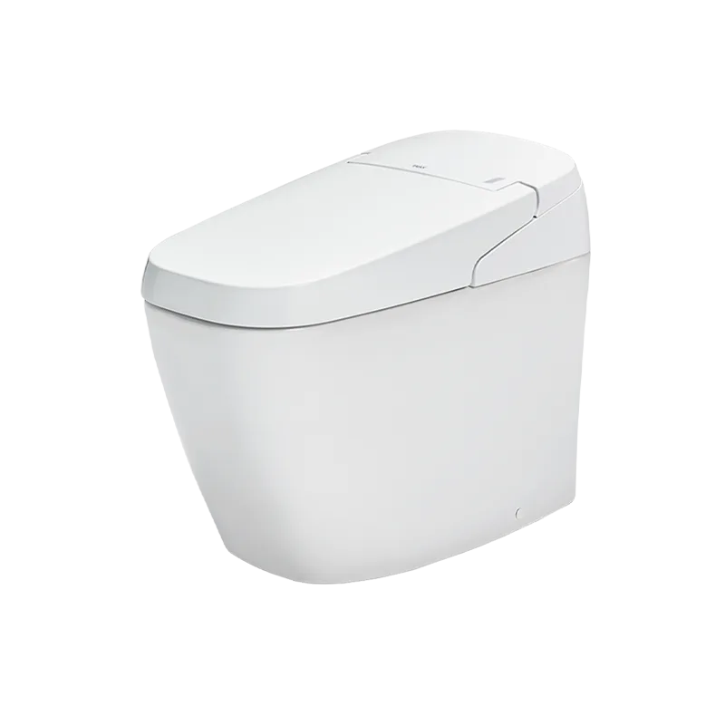 Bồn cầu thông minh AC-G216VN/BW1