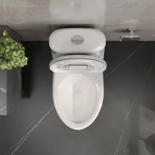 Ảnh 3 của Bàn cầu hai khối VI107