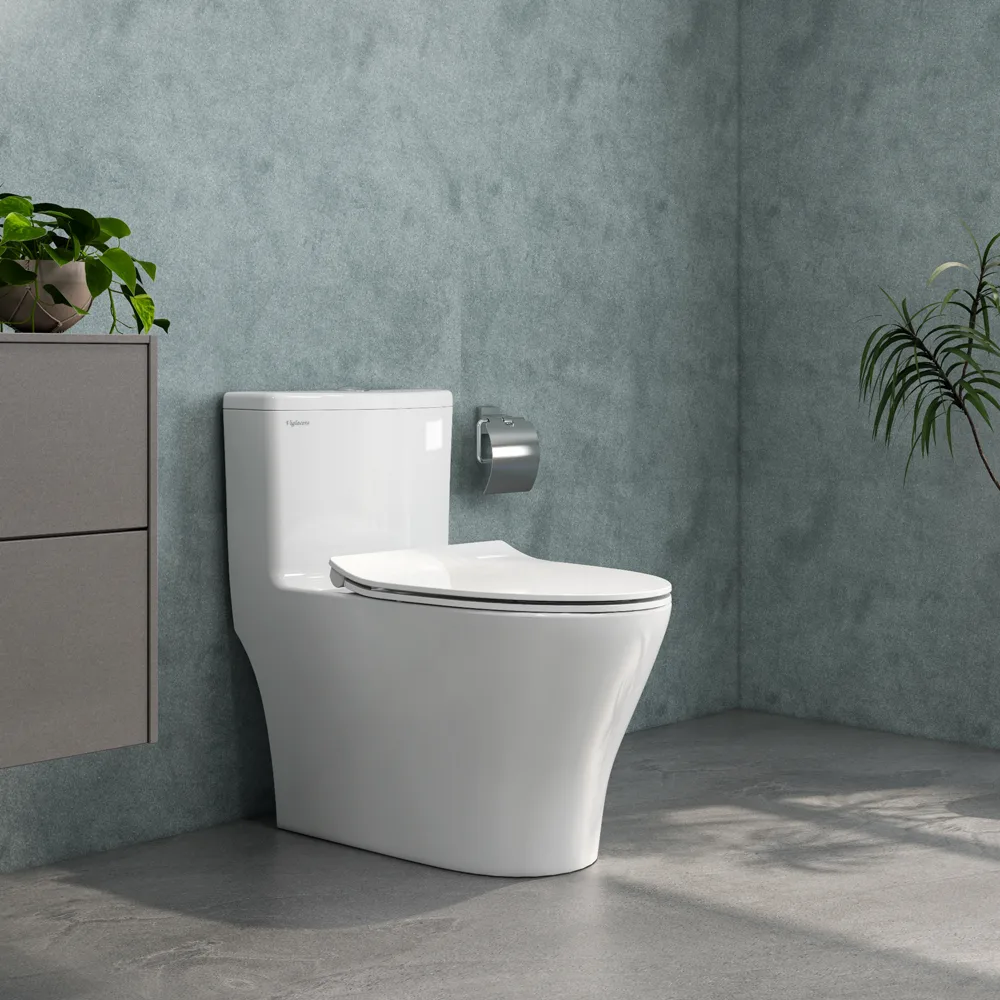 Bàn cầu một khối V36