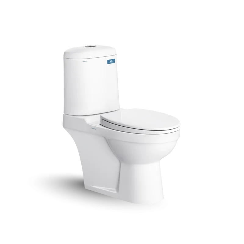 Bàn cầu hai khối VI107
