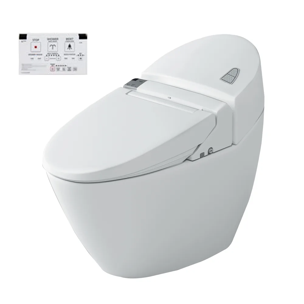 Bồn cầu 1 khối kết hợp nắp rửa điện tử AC-2700+CW-KA22AVN