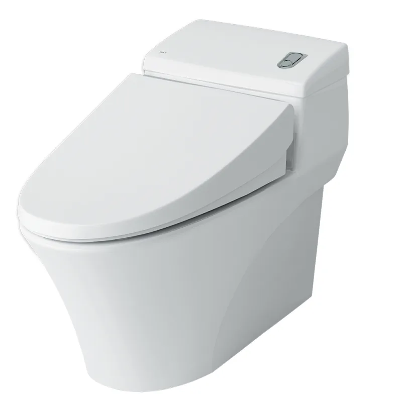 Bồn cầu 1 khối AC-1008VRN