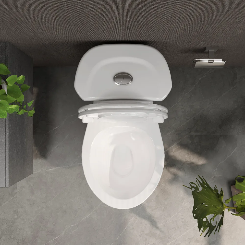 Bàn cầu hai khối VI66