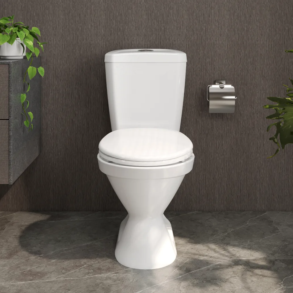 Bàn cầu hai khối VI66