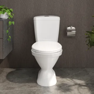 Ảnh 2 của Bàn cầu hai khối VI66