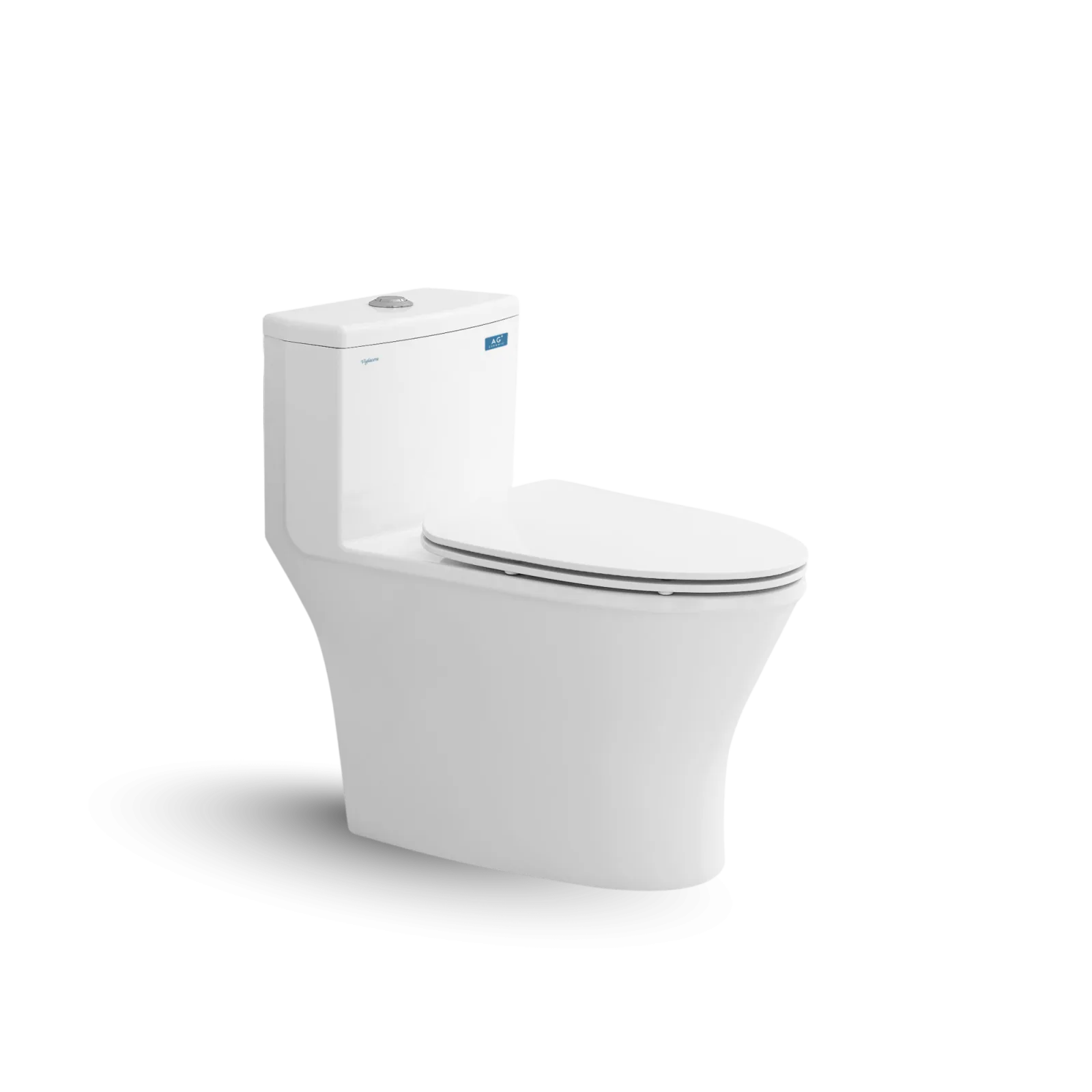 Bàn cầu một khối V803