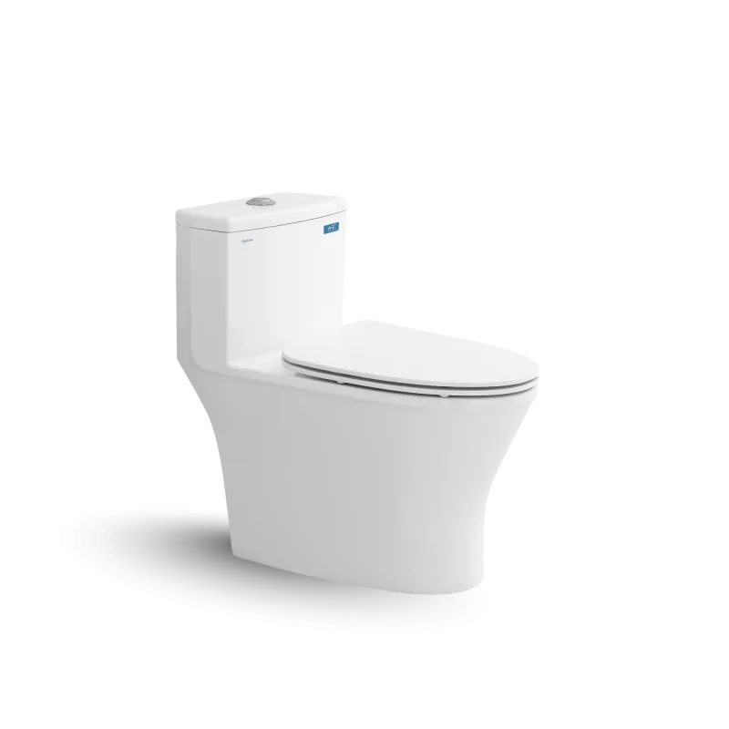 Bàn cầu một khối V803