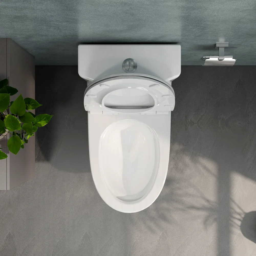 Bàn cầu một khối V36