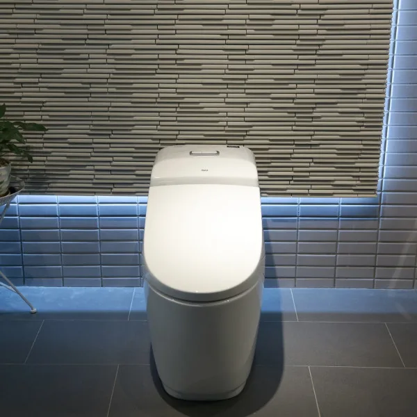 Bồn cầu 1 khối AC-1032VN