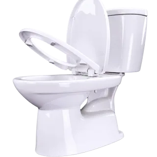 Ảnh 3 của Bồn cầu 2 khối C-306VPT