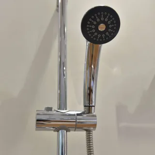 Ảnh 4 của Sen cây BFV-1115S
