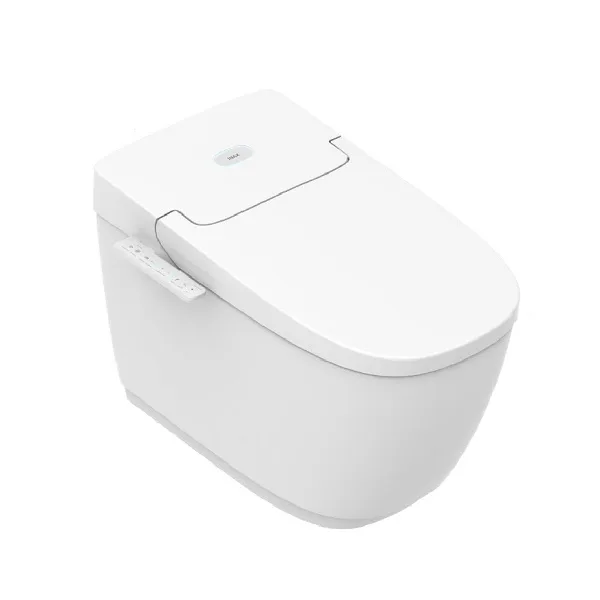 Bồn cầu điện tử AC-816VN
