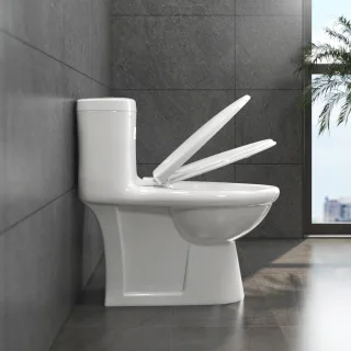 Ảnh 3 của Bàn cầu một khối BL5
