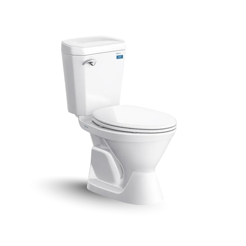 Bàn cầu hai khối VI77
