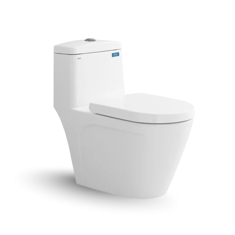Bàn cầu một khối S308