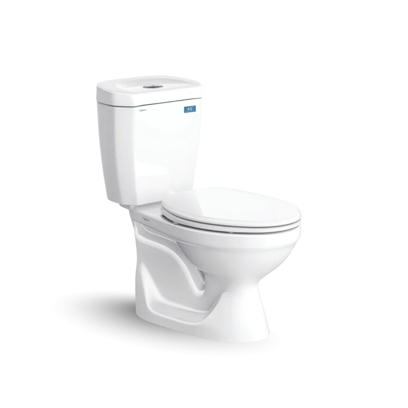 Bàn cầu hai khối VI88