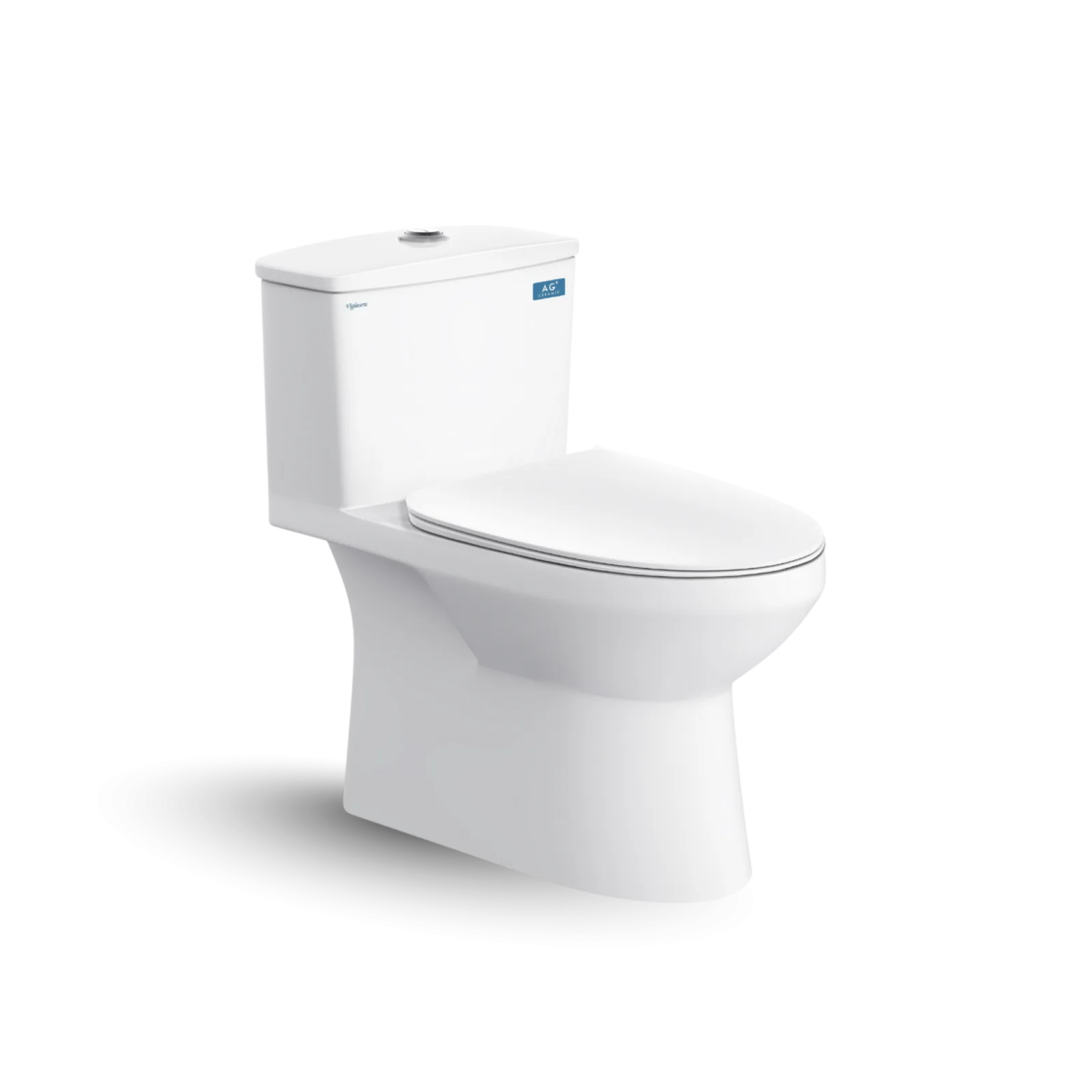 Bàn cầu một khối V811