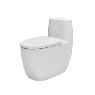 Ảnh 1 của Bồn cầu 1 khối AC-1052VN