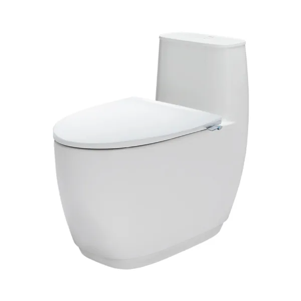 Bồn cầu cảm ứng kết hợp nắp rửa cơ AC-1052+CW-S32VN