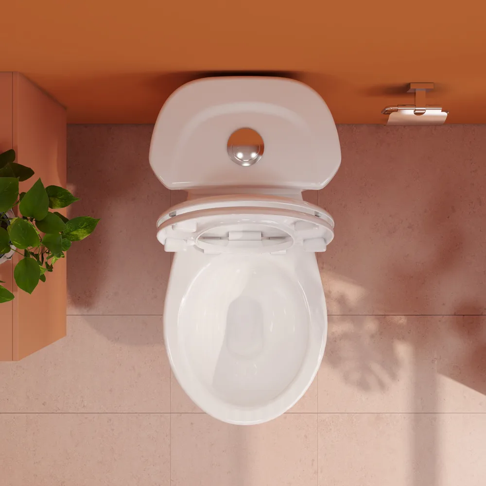 Bàn cầu hai khối VI28