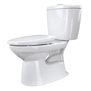 Ảnh 2 của Bồn cầu 2 khối C-306VPT