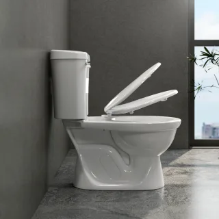 Ảnh 4 của Bàn cầu hai khối VI77