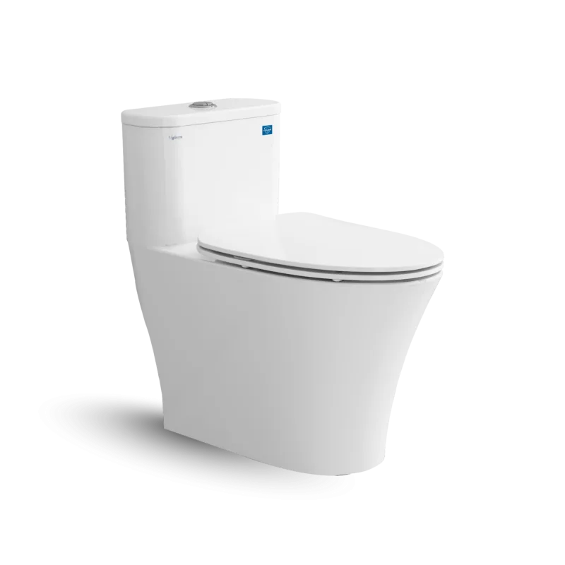 Bàn cầu một khối V829