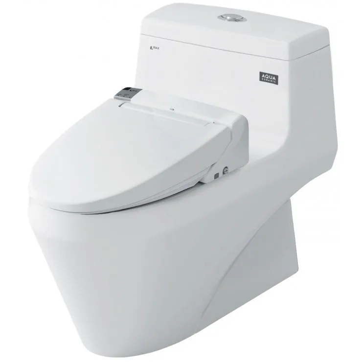 Bồn cầu 1 khối kết hợp nắp rửa điện tử AC-1035+CW-KA22AVN