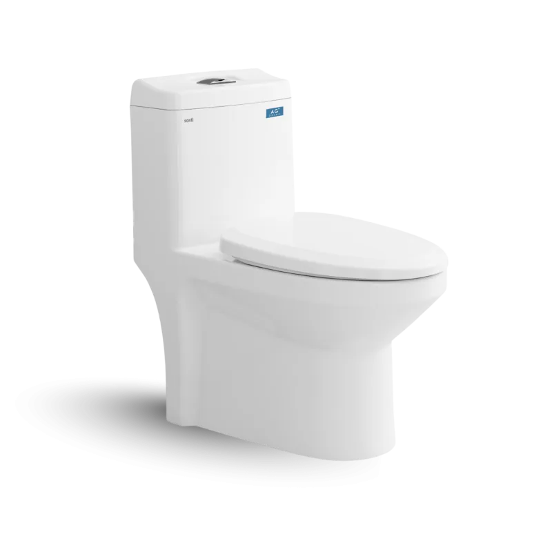 Bàn cầu một khối S301