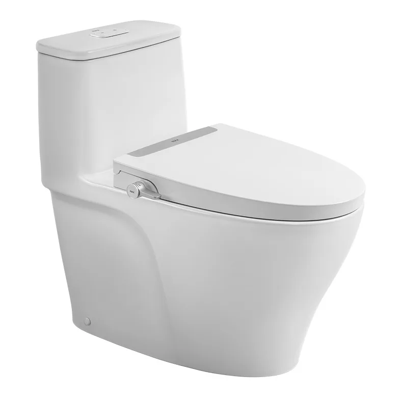 Bồn cầu 1 khối kết hợp nắp rửa cơ AC-989+CW-S32VN