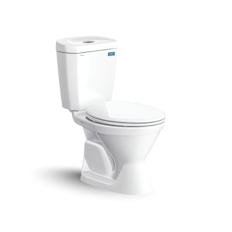 Bàn cầu hai khối VI66