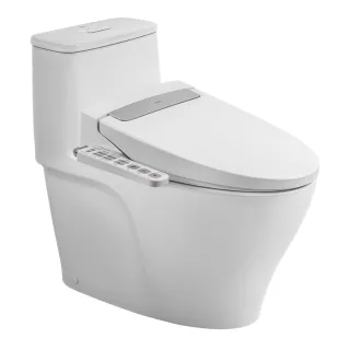 Ảnh 1 của Bồn cầu 1 khối kết hợp nắp rửa điện tử AC-989+CW-H20VN