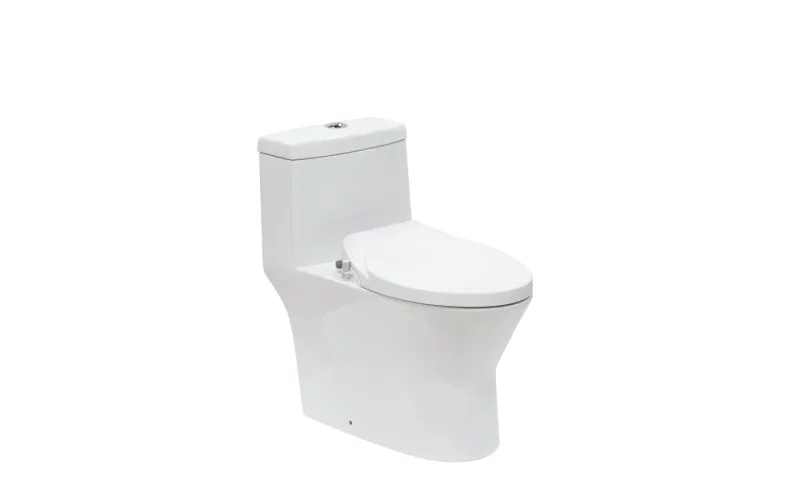 Bàn cầu một khối nắp rửa cơ 11213-2-1/31Z-I011