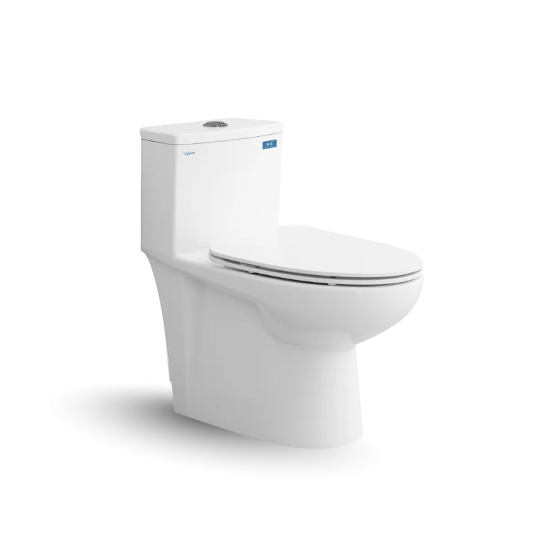Bàn cầu một khối V819