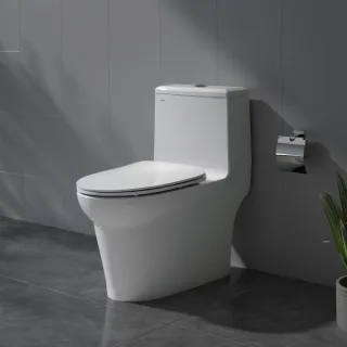 Ảnh 2 của Bàn cầu một khối V65