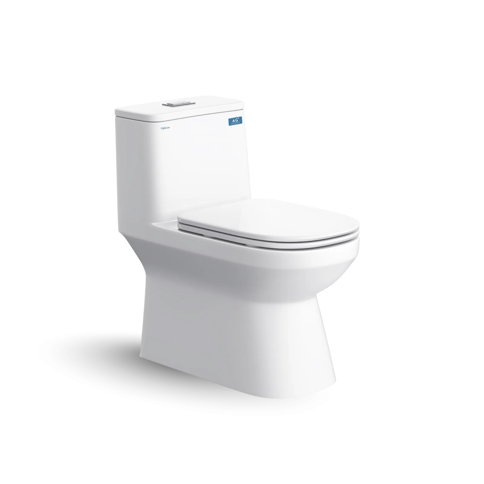 Bàn cầu một khối V816