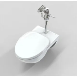 Ảnh 2 của Bồn cầu treo tường AC-22PVN