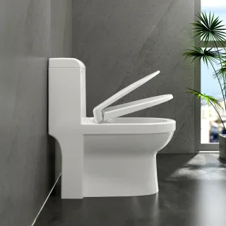 Ảnh 3 của Bàn cầu một khối S304
