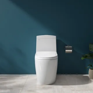 Ảnh 2 của Bàn cầu một khối V199