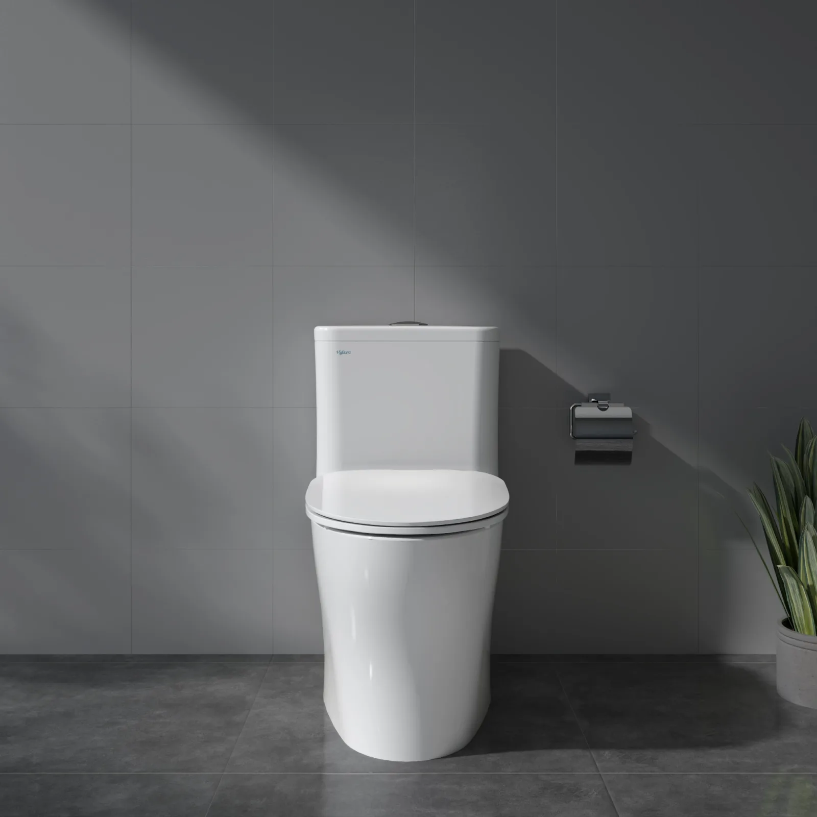 Bàn cầu một khối V63