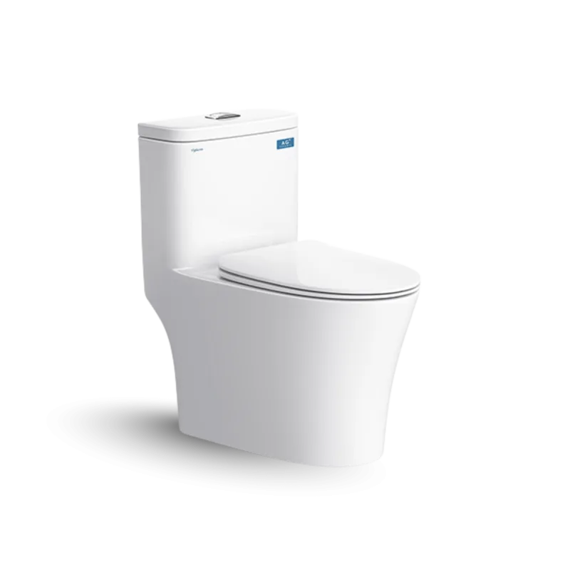 Bàn cầu một khối V63
