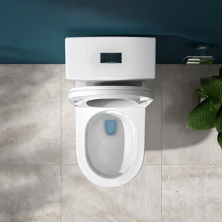 Ảnh 4 của Bàn cầu một khối V199