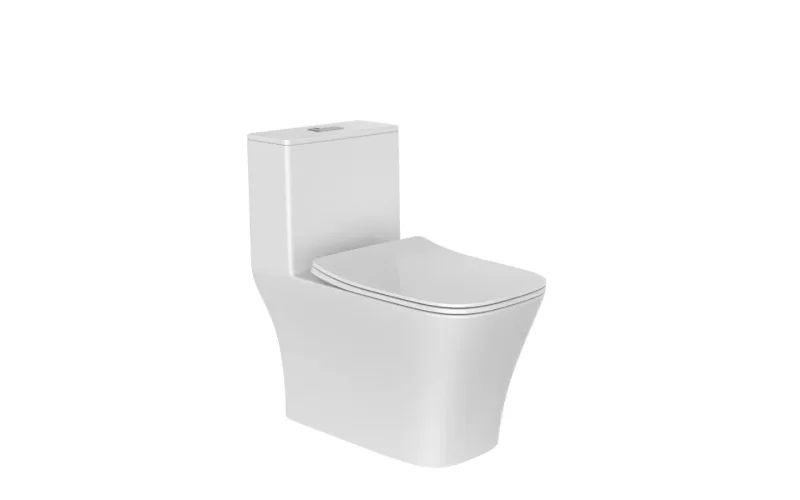Bàn cầu một khối 11416-2-2/31K-I011