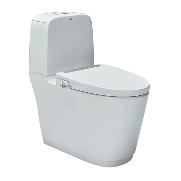 Bồn cầu 2 khối kết hợp nắp rửa cơ AC-832+CW-S32VN