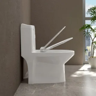 Ảnh 2 của Bàn cầu một khối S301