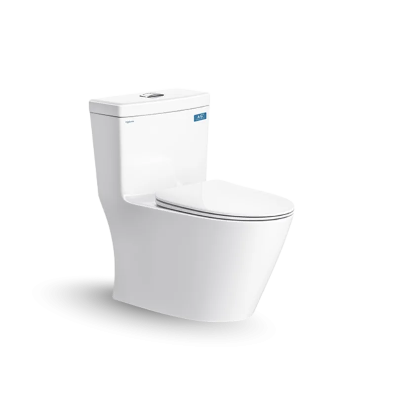 Bàn cầu một khối V62