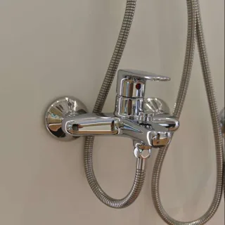 Ảnh 3 của Sen cây BFV-1115S